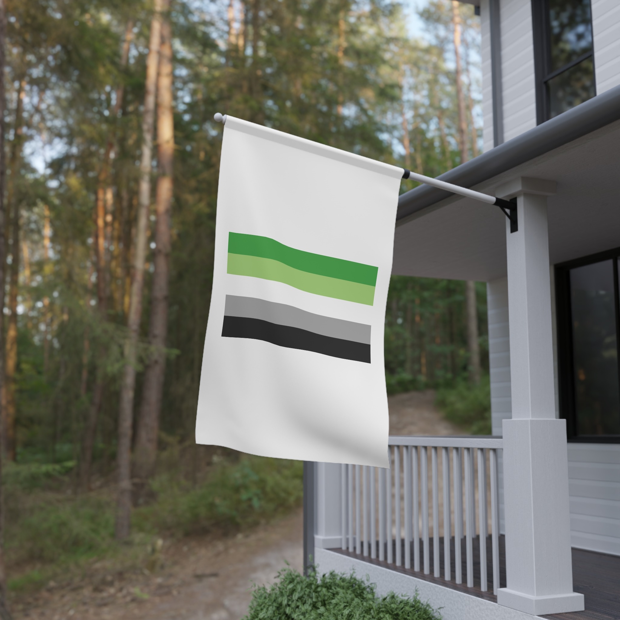 Aromantic Pride Flag House Banner - Image 4