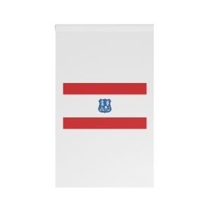 Flag of Asunción House Banner