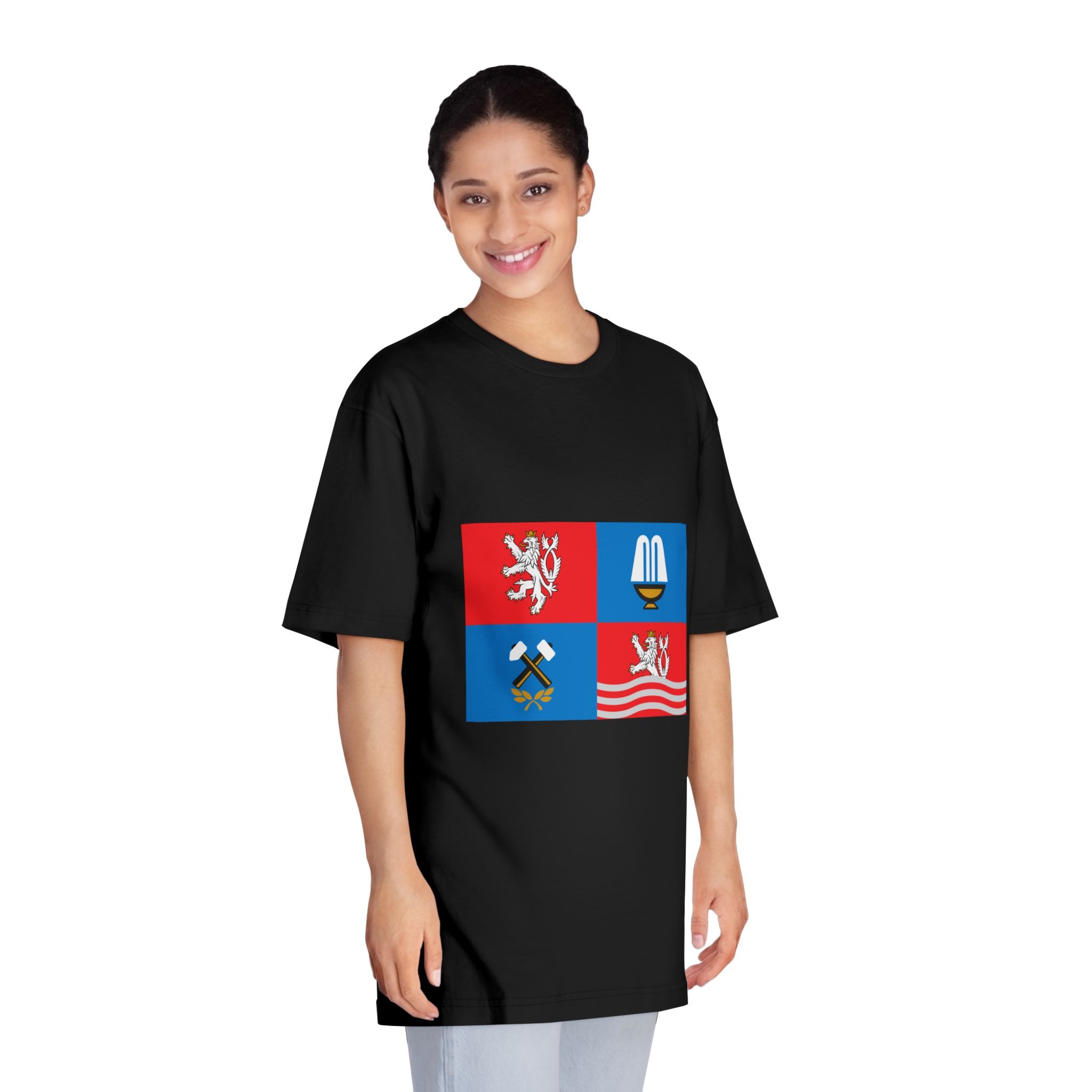 Flag of Karlovy Vary Region Unisex Classic Crewneck T Shirt - Image 7