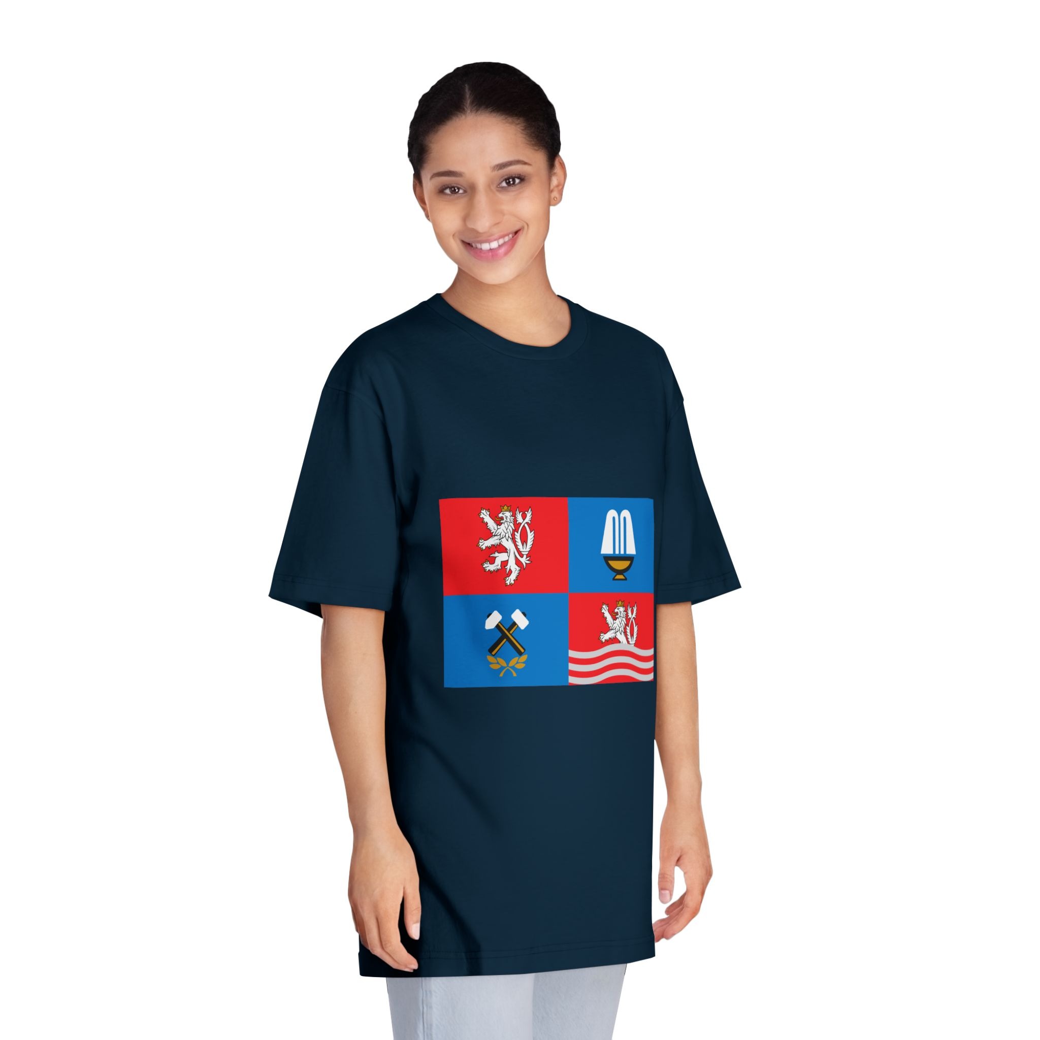 Flag of Karlovy Vary Region Unisex Classic Crewneck T Shirt - Image 19