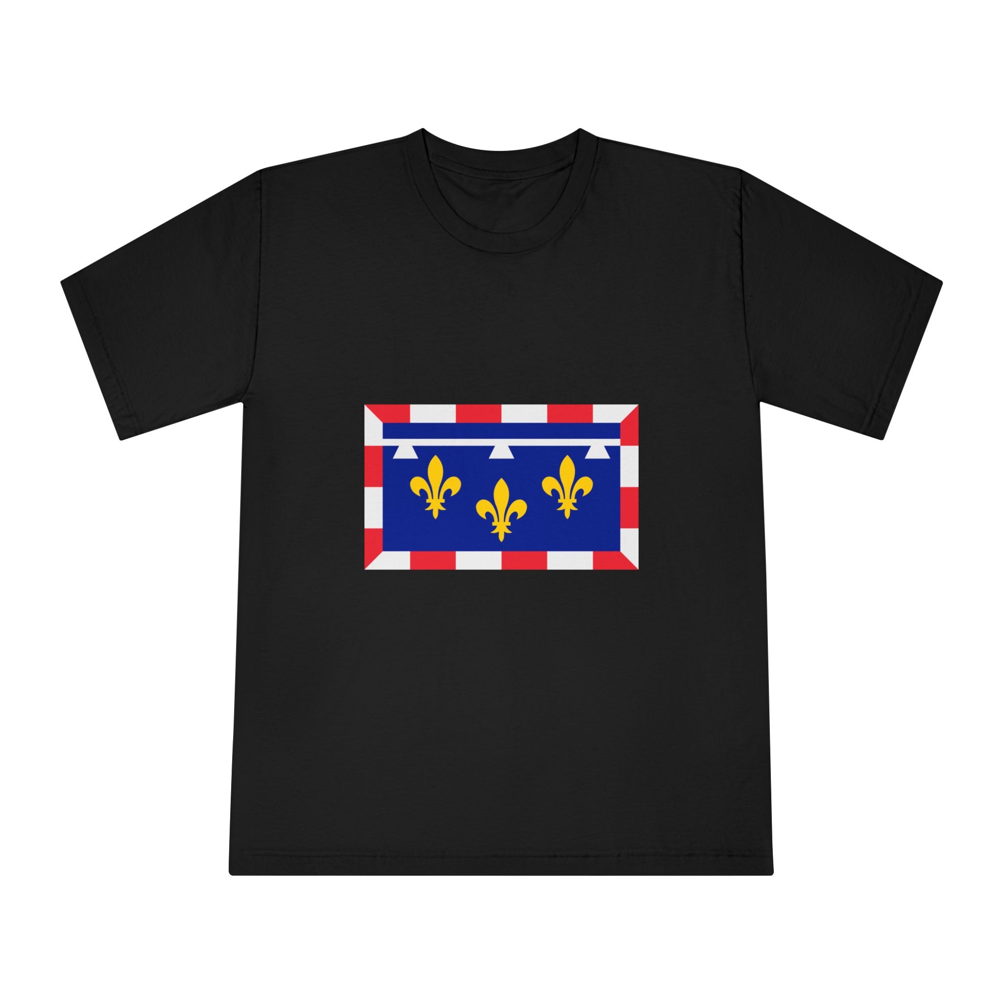 Flag of Centre Val de Loire Unisex Classic Crewneck T Shirt - Image 5