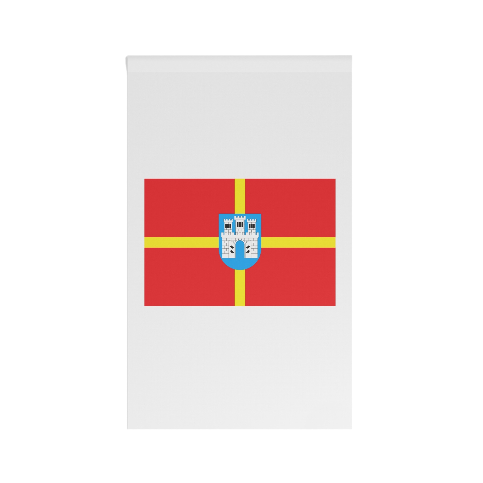 Flag of Zhytomyr Oblast House Banner - Image 2
