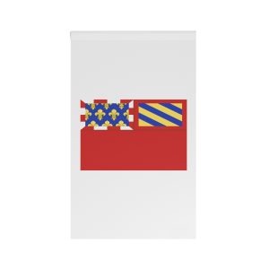 Flag of Dijon House Banner