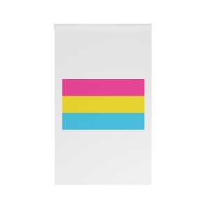 Pansexual Flag House Banner
