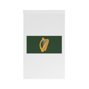Flag of Leinster House Banner