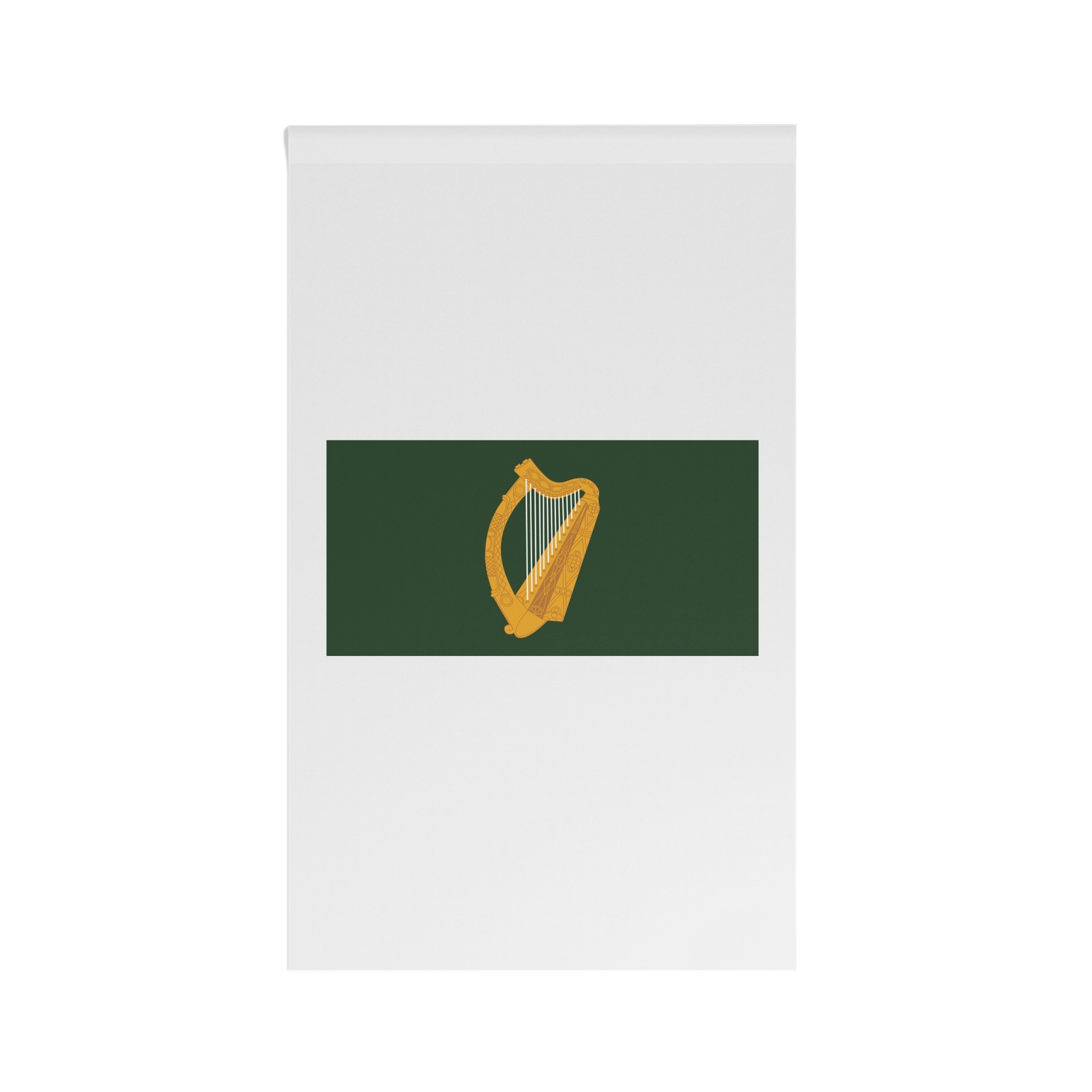 Flag of Leinster House Banner