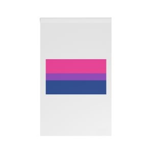 Bisexual Flag House Banner