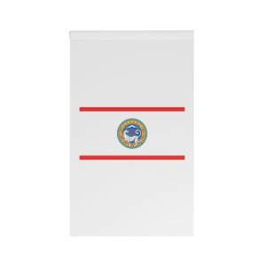 Flag of Almaty House Banner