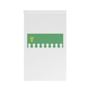 Steag Raionul Edinet House Banner
