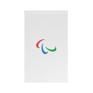 Paralympic Flag (2019) House Banner