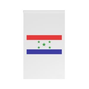 Flag of Caaguazú Department House Banner