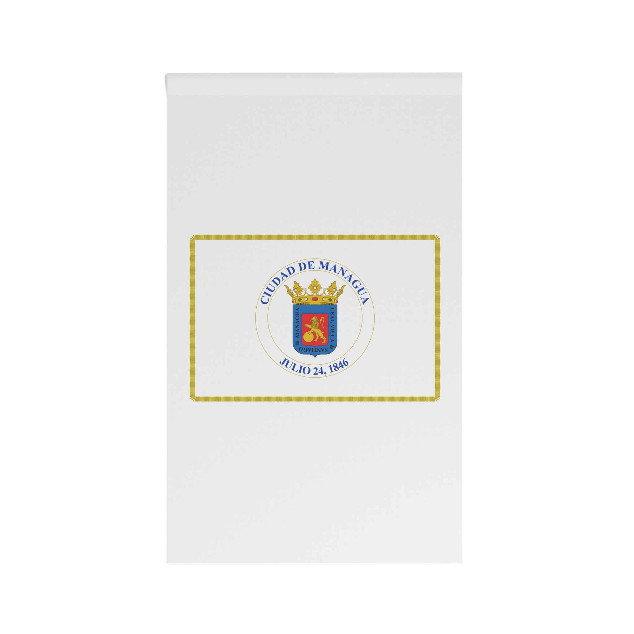 Flag of Managua House Banner - Image 2