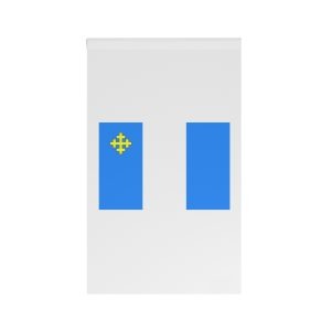 Flag of District Rezina House Banner