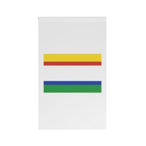 Flag of Misiones, Paraguay House Banner