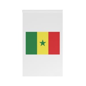 Cameroon Flag House Banner