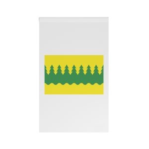Flag of Kainuu House Banner