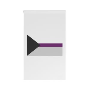 Demisexual Pride Flag House Banner