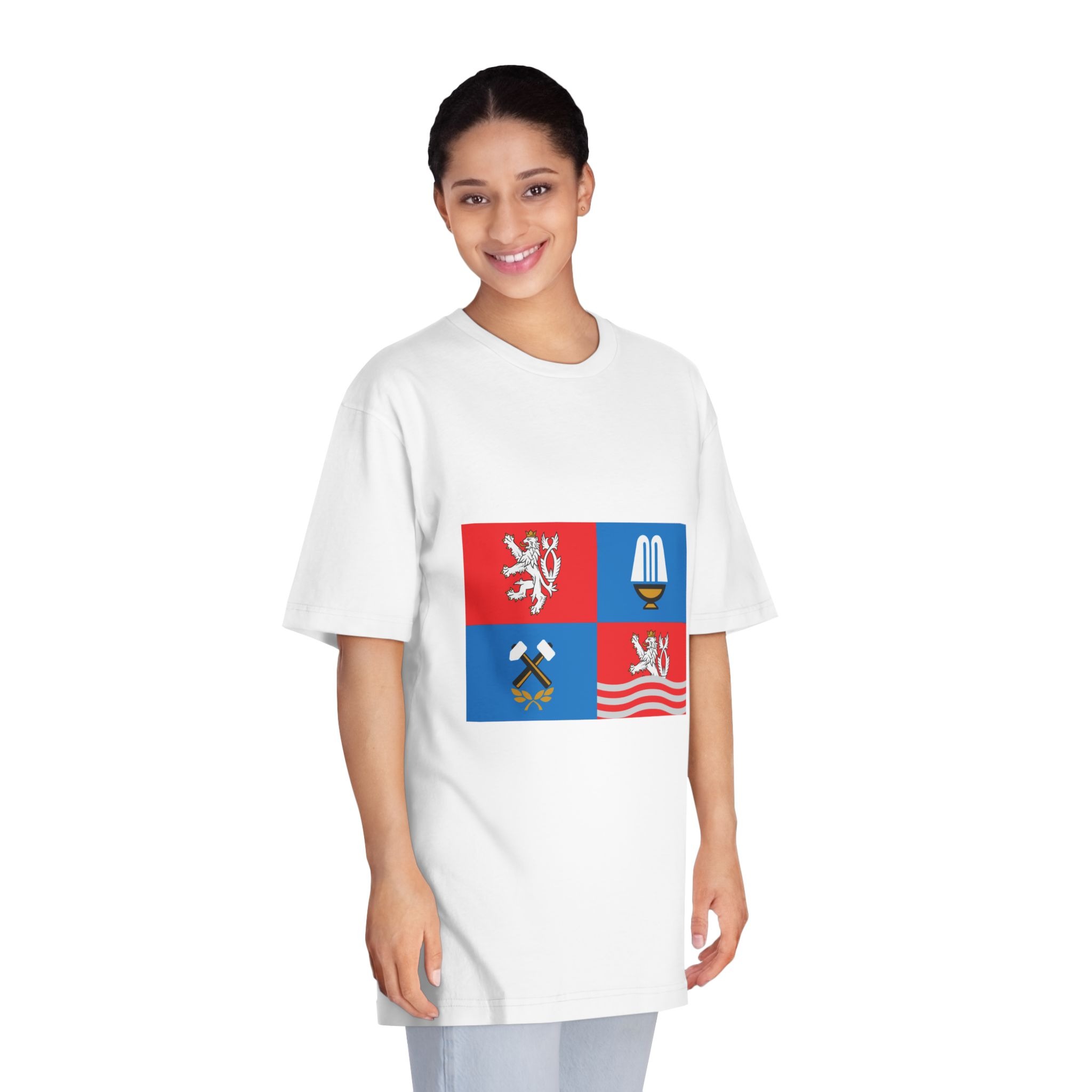Flag of Karlovy Vary Region Unisex Classic Crewneck T Shirt - Image 3