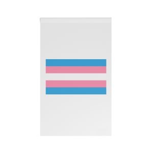 Trans Flag House Banner