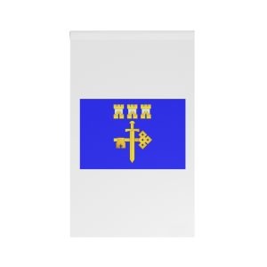 Flag of Ternopil Oblast House Banner
