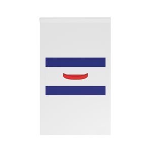 Dubăsari District Flag House Banner