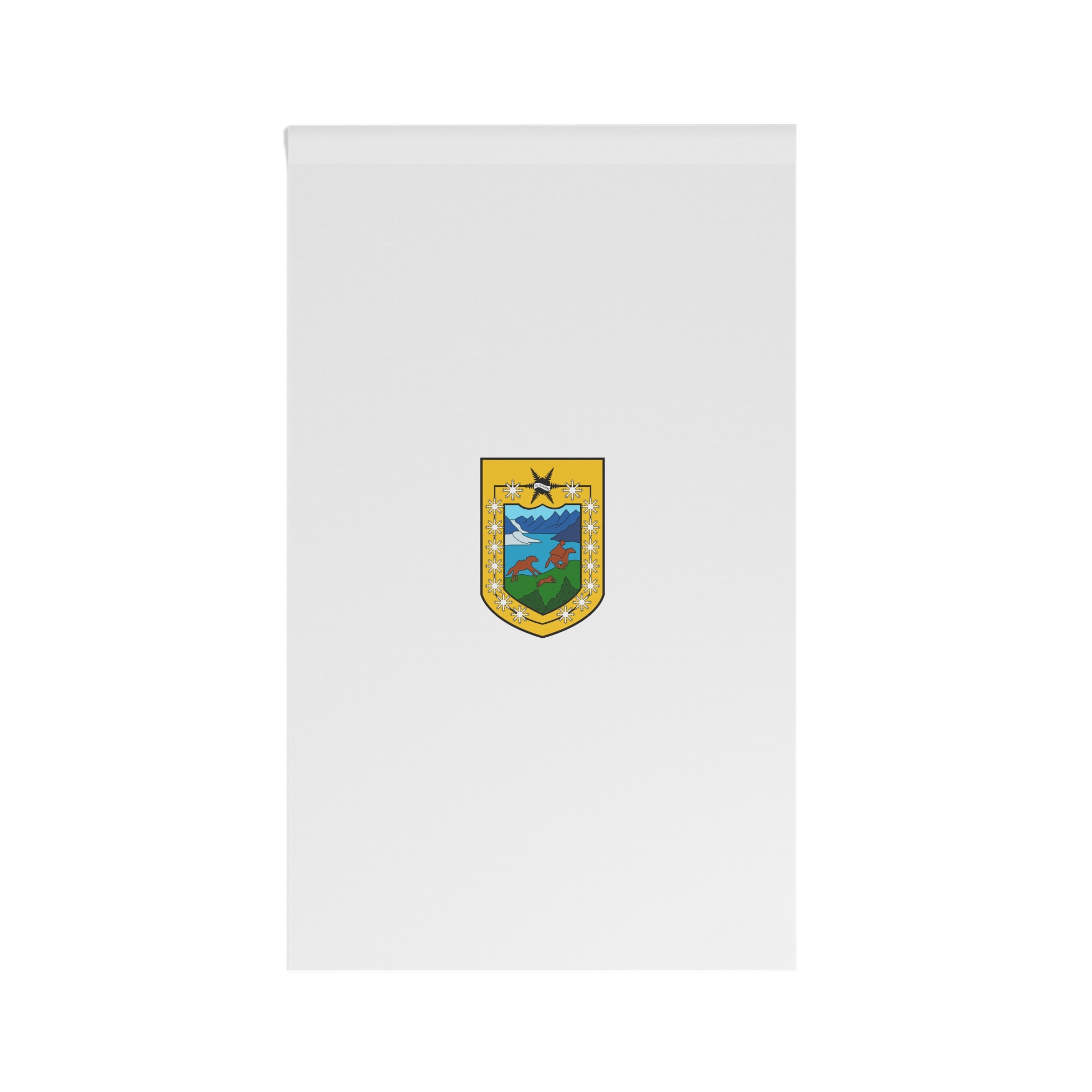 Flag of Aysen, Chile House Banner - Image 2