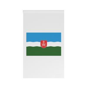 Flag Vinnytsia District House Banner