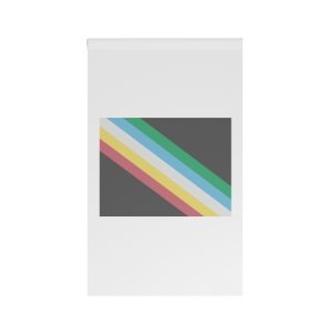 Visually Safe Disability Pride Flag House Banner
