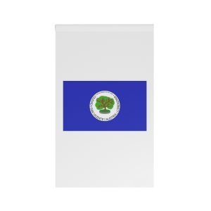 Flag of San Vicente Department House Banner