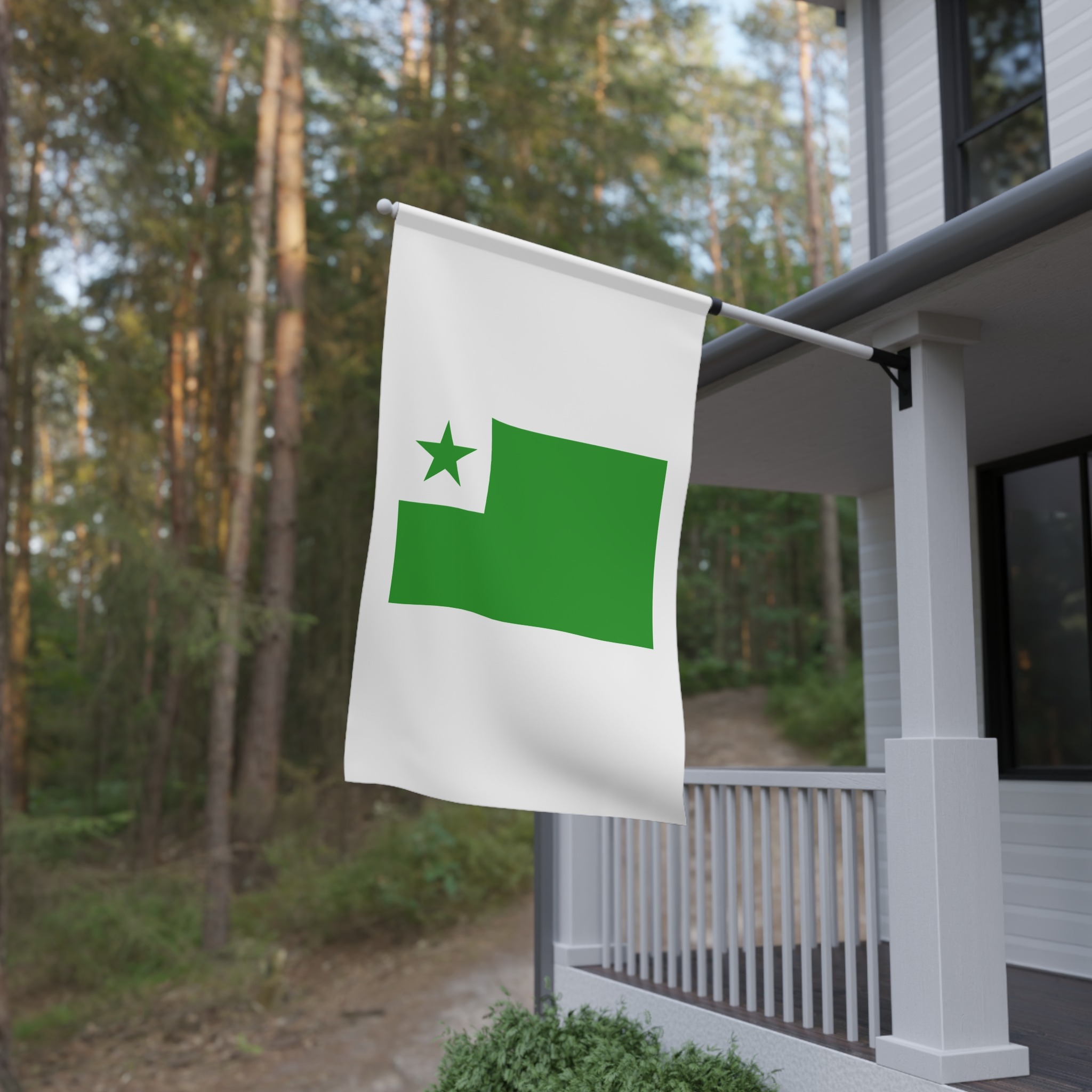 Flag of Esperanto House Banner - Image 4